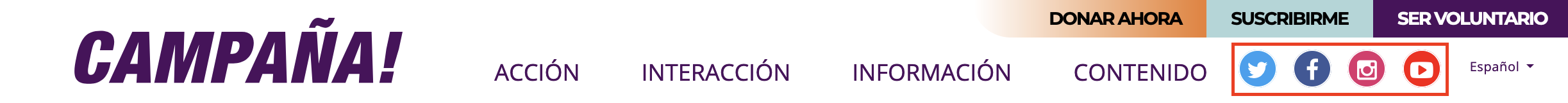 Social media icons preview